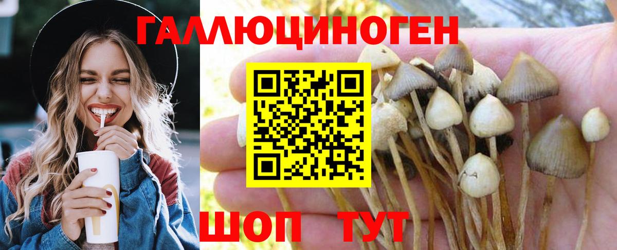 Псилоцибиновые грибы ЛСД Надым