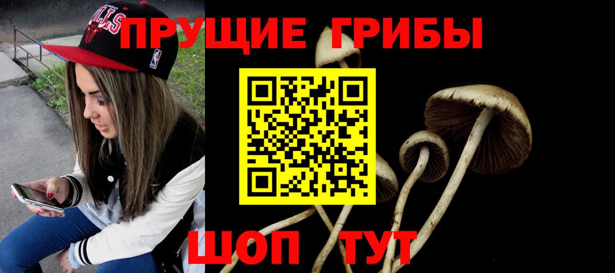 Надым  Псилоцибиновые грибы Magic Shrooms  Вход с VPN 